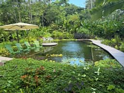 Gated Beachfront Community- Huge Natural Pool- TRIPLE Suites Birders delight!