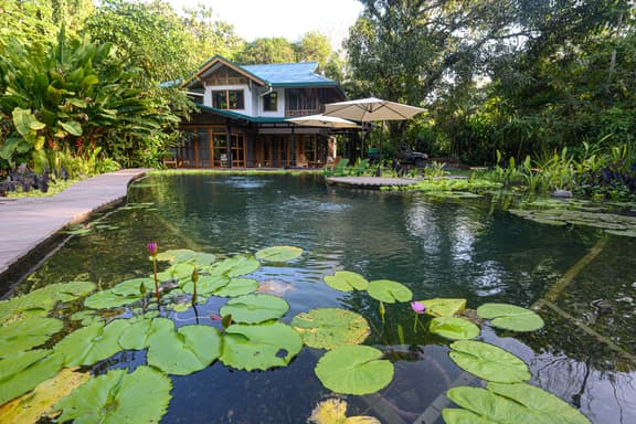 Gated Beachfront Community- Huge Natural Pool- TRIPLE Suites Birders delight!